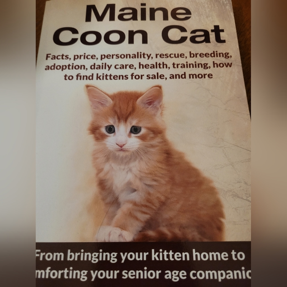 Book Maine Coon